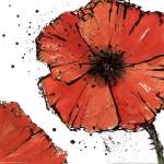 Not a California Poppy on White IV by Chris Paschke