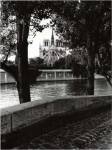 Notre Dame by Clay Davidson