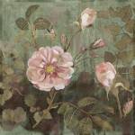 November Buds by Mindy Sommers