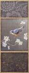 Nuthatch by Danhui Nai