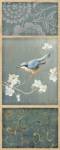 Nuthatch by Danhui Nai