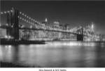 NYC Nights by Nina Papiorek