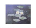 Nymphaeas Effet du Soir by Claude Monet