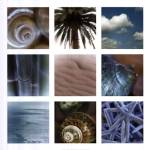 Ocean Bliss by Jennifer Broussard