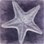 Ocean Blue I by Caroline Kelly