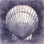 Ocean Blue II by Caroline Kelly