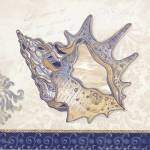 Ocean Conch by Mollie B.