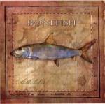 Ocean Fish IV by Beth Anne Creative