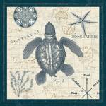 Ocean Life VI by Pela