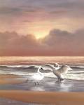 Ocean Sunset by T.C. Chiu