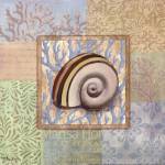 Oceanic Shell Collage IV by Paul Brent