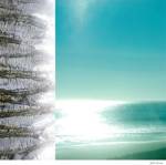 Oceans I by Jennifer Broussard