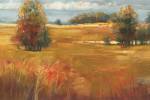 October Light by Carol Rowan