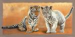 Oh my Sister! Ranthambore et Singalila by Danielle Beck