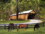 Old Covered Bridge by John Ward