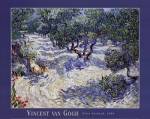 Olive Orchard by Vincent van Gogh