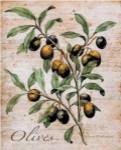 Olives by Renee Bolmeijer