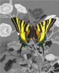 On Display V by James Burghardt