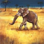 On The Plains III by Selina Werbelow
