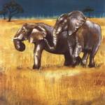 On The Plains IV by Selina Werbelow