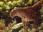 On The Prowl by Crista Forest