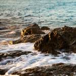 On the Rocks I by Susan Bryant