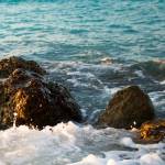 On the Rocks II by Susan Bryant