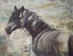 On The Wind by Liz Jardine