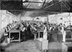 One of the cigar manufacturing departments at Messrs Salmon and Gluckstein's Ltd