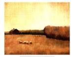 Open Range I by Tandi Venter