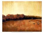 Open Range II by Tandi Venter