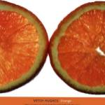 Orange by Mitch Hughes
