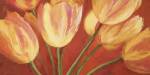 Orange Tulips by Silvia Mei