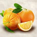 Oranges by Remo Barbieri