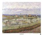 Orchard by Vincent van Gogh