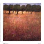 Orchard by Ken Hildrew