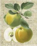 Orchard Medley I by Vision Studios