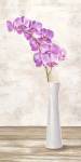 Orchid Arrangement by Shin Mills