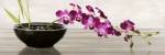Orchid Arrangement by Shin Mills