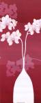 Orchid Blossoms II by Cathy Squire