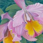 Orchid Series 4 by Tim Marsh