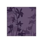 Orchids by Kate Knight