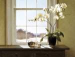 Orchids In The Window 2 by Zhen-Huan Lu