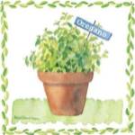 Oregano by Melissa-Babcock Saylor
