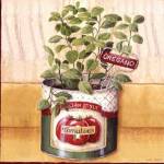 Oregano by Lisa Audit