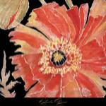 Oreintal Poppy by Roberta Ahrens