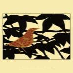Ornate Bird on Black Branch by Norman Wyatt