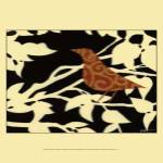 Ornate Bird on White  Branch by Norman Wyatt