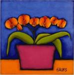 Orquidia Laranja by H. Alves
