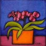 Orquidia Rosa by H. Alves